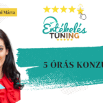 5 órás konzultáció